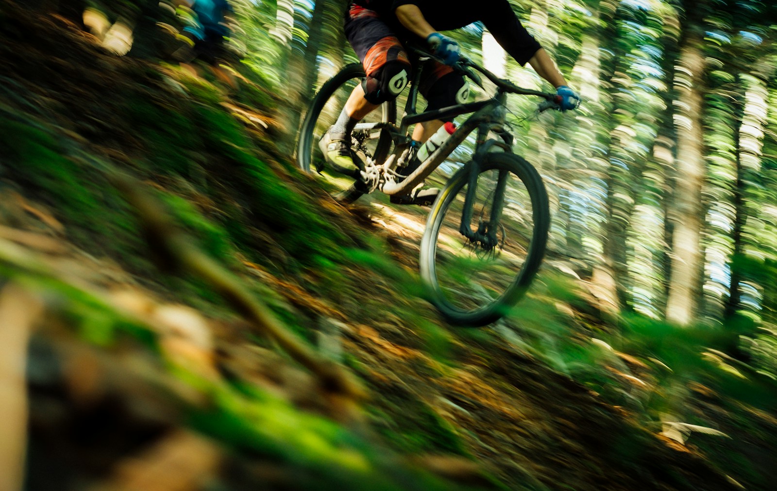 Rider on a hardtail mountain bike beside trees.