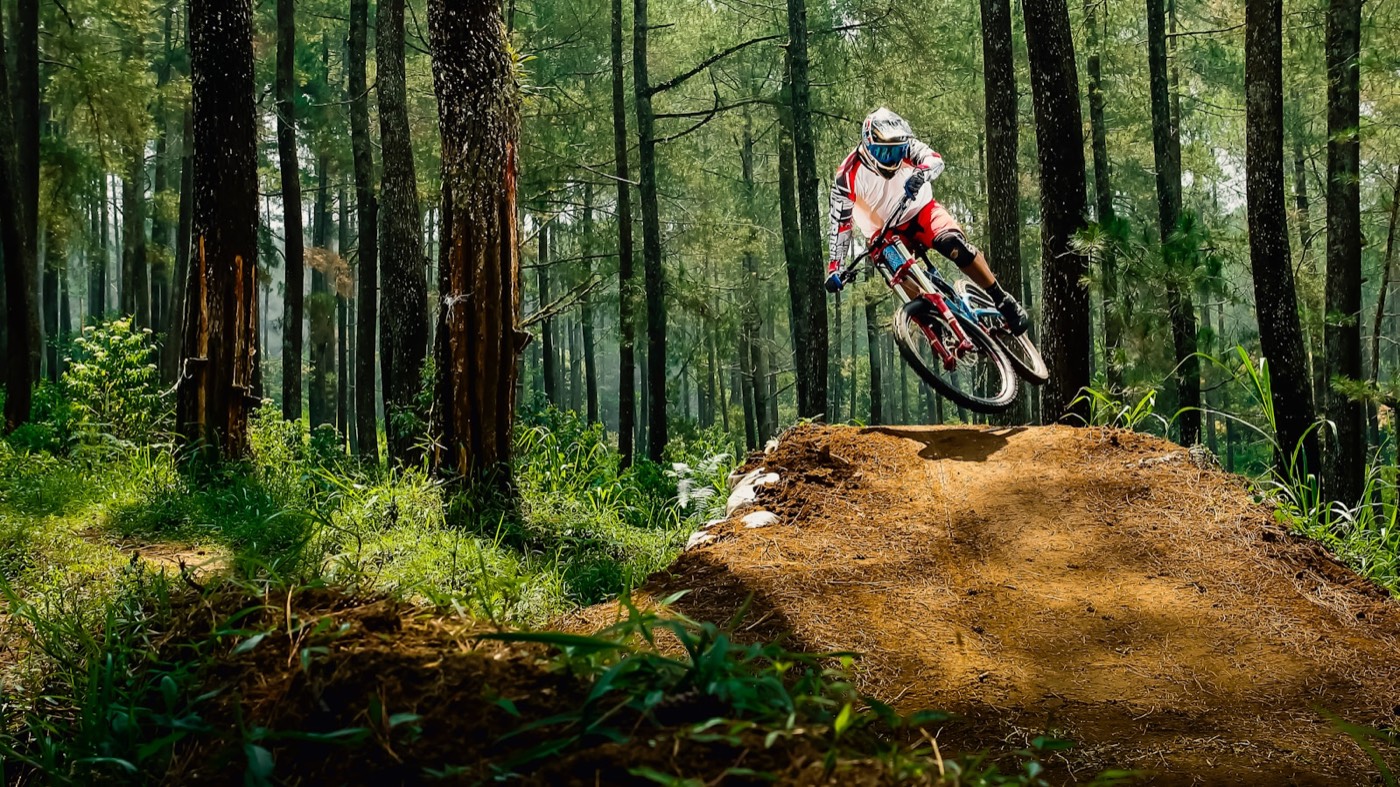 Rider performing an aerial stunt near trees.